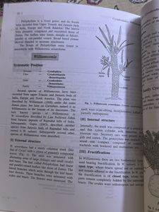 A Textbook of Botany by Singh, Pande, Jain 4th Ed