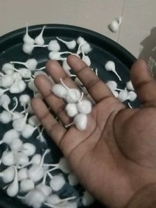 Cotton Wicks for Pooja