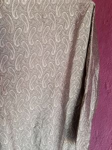 Elegant Paisley Kurta Set