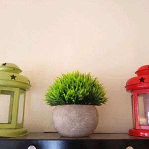 Lilone Artificial Benn Grass with Pot (Green)