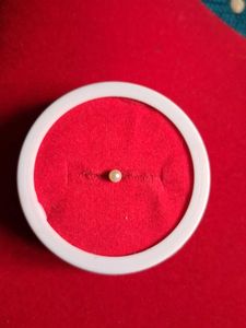 Exquisite Single Pearl nosepin
