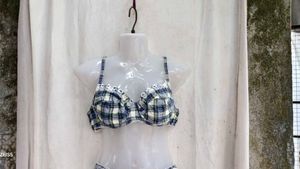 I. Cute Plaid Bra set