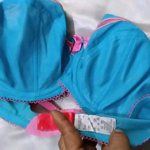 Blue &amp; Pink Bra