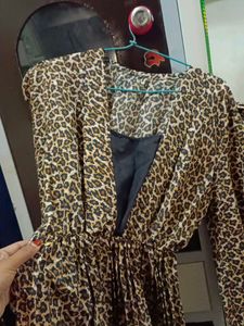 Leopard Print Fit &amp; Flare Dress