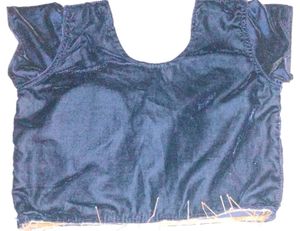 Elegant Navy Blue Velvet Blouse