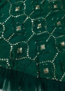 Green Embellished Lehenga Skirt