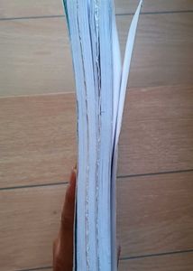 Introductory Macro Economics Class XII