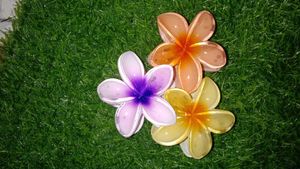 Trending Floral Design Hair Claw
