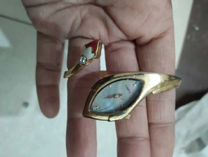 Stylish Gold Snake Watch