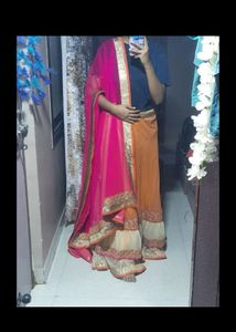 Lehnga Cunni No Blouse