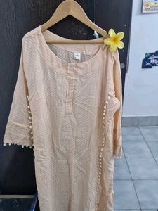 Elegant Pink Chikankari Kurta