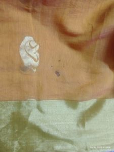 Silk Cotton Saree Without Blouse