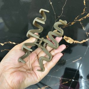 Chic Hair Claw Clip