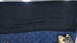 PRICE DROP!!! Elegant Black dupatta