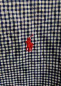 Blue Gingham Button-Down Shirt