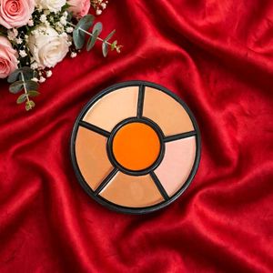 Insight Pro Concealer Palette