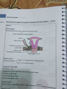 Gynaecology Marrow Edition 8