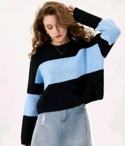 Color Block Crewneck Sweatshirt