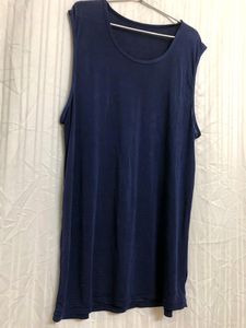 Blue sleeveless Dress