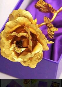 golden rose ..