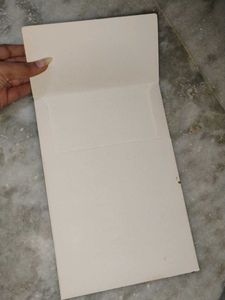 Peacock &amp; Lotus Painted envelope
