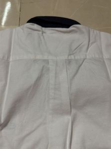 Lacoste White Button-Down Shirt