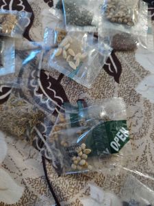 Assorted Seed Packets Collection