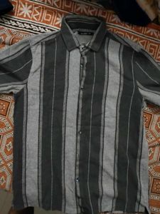 Zudio Striped Grey Short Sleeve Shirt
