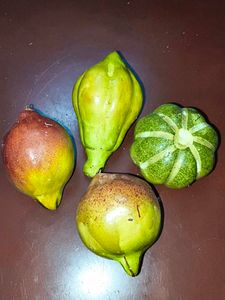Decorative Fruit Set