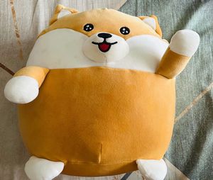 Miniso Plush Teddy-ultra soft