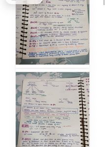 constitution law notes