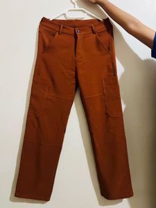 Rust Cargo Pants