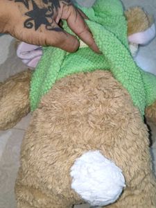 Build a Bear Rabbit with clothes