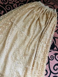 Cream Lace Flared Skirt with White Border – Elegan