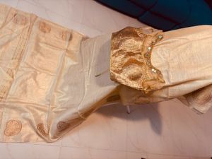 Designer Blouse &amp; Elegant Cream &amp; Gold Saree