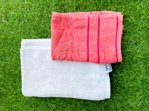 Two Hand towels Like New