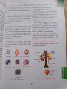 Tamil Nadu Class X Science Textbook