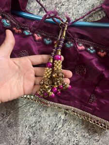 Beautiful Embroidered Lehenga  Set( full embroider