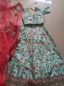 Beautiful Embroidered Lehenga Choli Set