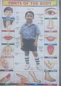 Kids Learning 8 Charts