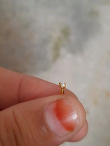 Beautiful New Very Small Nosepin