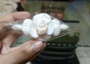 Seashell Hair Clip