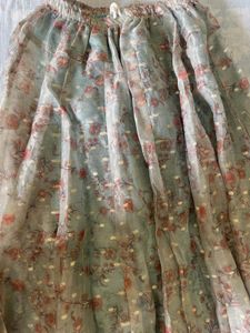 Floral Print Organza Skirt
