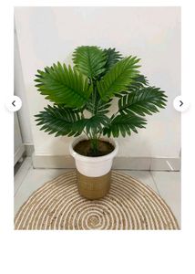 Artificial Palm Plant