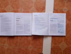Class-10 Physics, Chemistry Ratna Sagar Living Sci