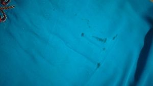 Embroidered Turquoise Saree