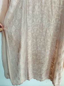 Pastal Nude Authentic Chikankari Tunic Pallazo set