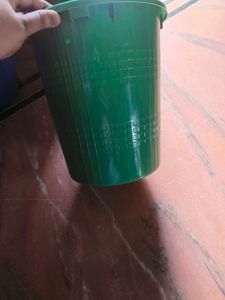 new dustbin in coins