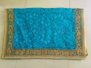 Elegant Aqua Net Saree