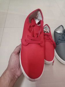 Men Canvas Casual Shoes Full Lot 20 Pcs Pairs,
